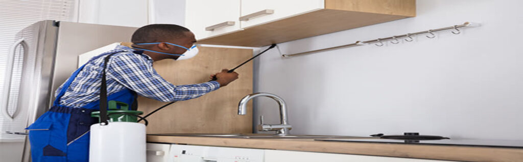 pest control services