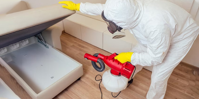 pest control services in dubai