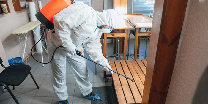 pest control services