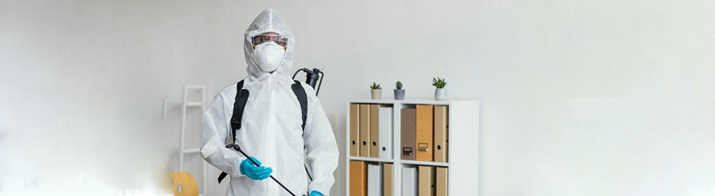 pest control services