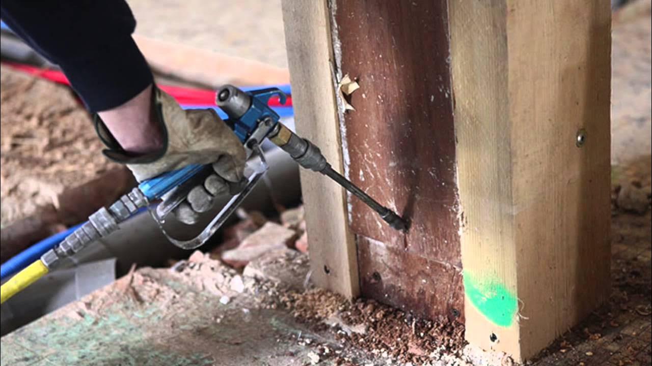 Termite Control Services - Good Life Pest Control