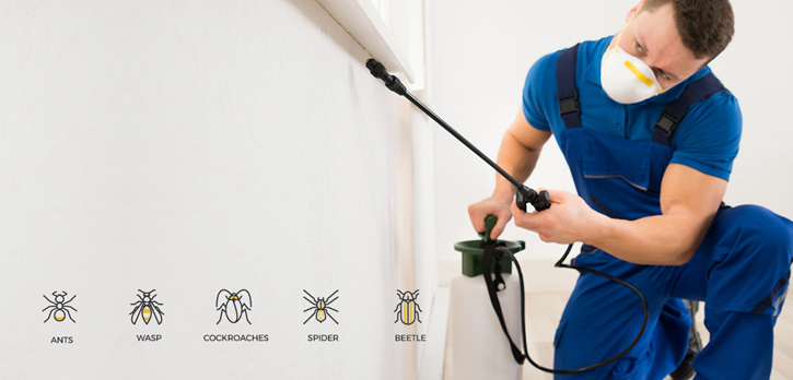 Fly Control Services In Dubai - Good Life Pest Control