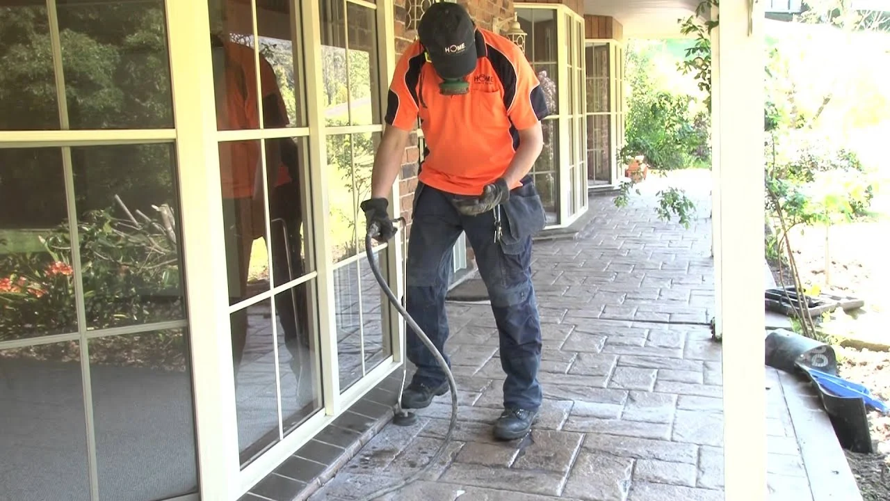 Termite Treatment In Dubai - Good Life Pest Control