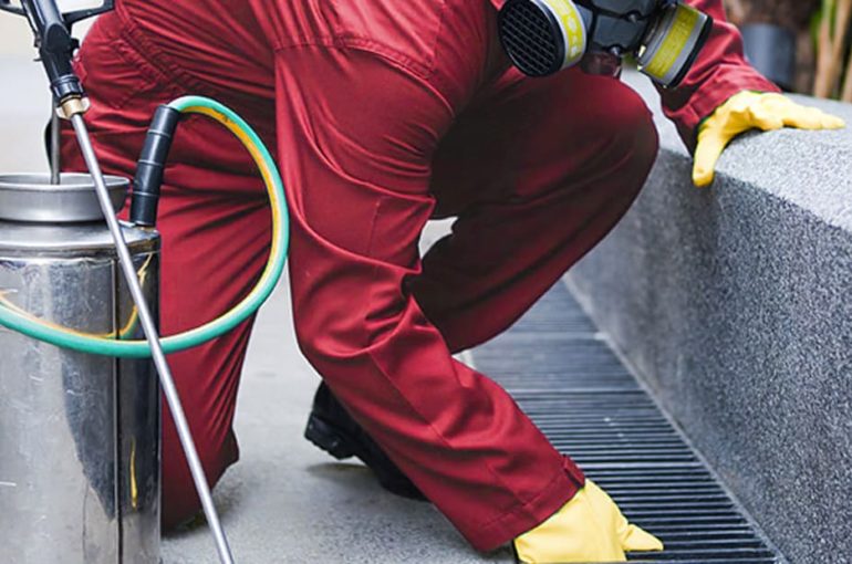 pesticide control service