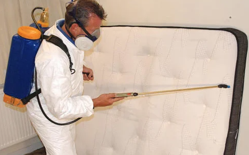 bed bug pest control in Dubai